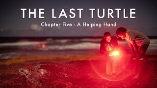 The Last Turtle | Ep.5, A Helping Hand