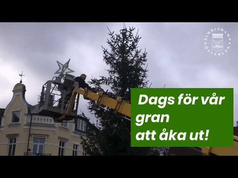 Tjugondag Knut i Simrishamn