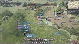 【ThroneAndLiberty】20250915 ギルド戦 - 恩恵石 ヒーラー視点