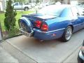 Reggie B Another Blue Liner