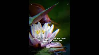 Download lagu Agak sakit #shorts #snack #tiktok #viral #fyp #quotes #status#agak#sakit mp3