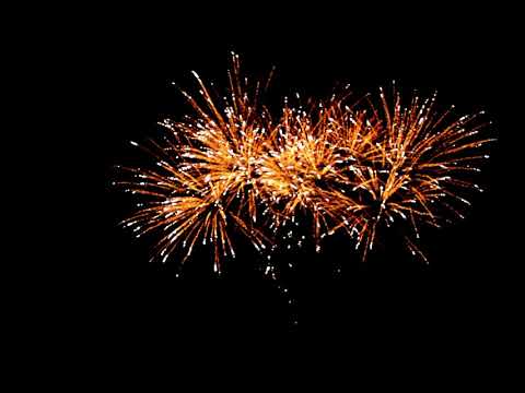 SCF9910 - 130s Brocade w Red blink Mine to Gold Ti Willow