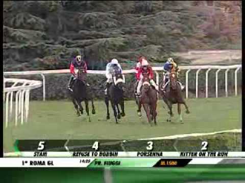 01/11/2012, Roma Galoppo, Premio Guido Berardelli