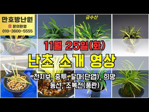 유튜브 썸네일