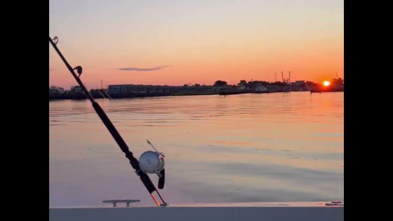 Visit to Chincoteague Island, Va. Art #208 for Va Western.