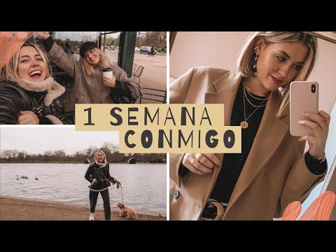 download lagu mp3 mp4 Amy Toks, download lagu Amy Toks gratis, unduh video klip Amy Toks
