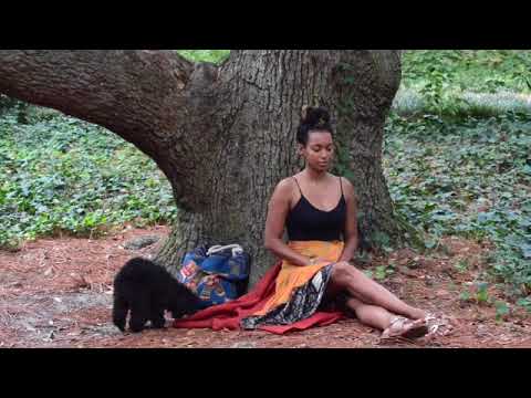 How To Talk To Trees