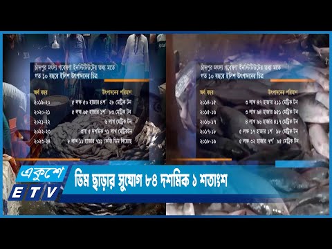 চলতি মৌসুমে ইলিশের ডিম ছাড়ার হার বেশি | ETV News