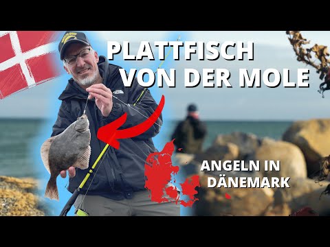 Flatfish fishing on the Baltic Sea in Denmark - how to catch plaice, dab and flounder from the pier