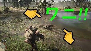 【RDR2】（検証）　ワニは一般人を食らうのか実験してみた