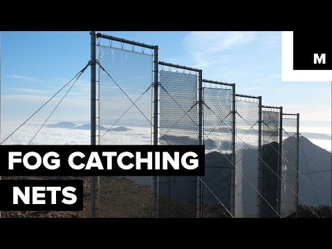 Fog catcher for water