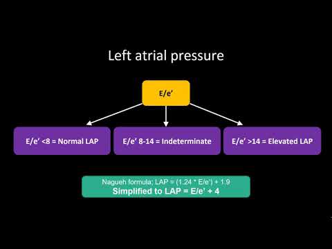 Point-of-Care Echo: Diastology