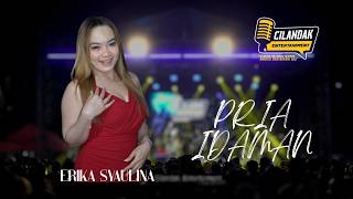 Download lagu ERIKA SYAULINA - PRIA IDAMAN (Live cover DANSA ) mp3