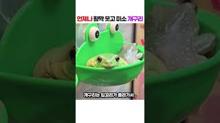 유튜브 썸네일
