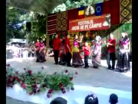 ANSAMBLUL JOACA TARE DE LA MOCIU.mp4