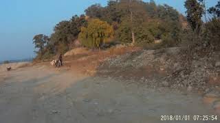 preview picture of video 'Bhikhna Thori,North Bihar video 3'