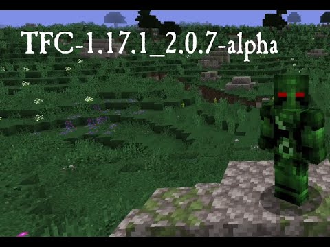 Terrafirmacraft 1.17.1-2.0.7-alpha checking out fixed stuff