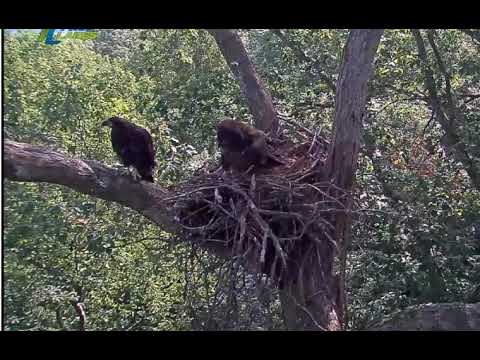 DH2019 Spat and Make Up, 060219