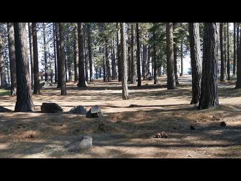 移民美国的十大理由。E3727