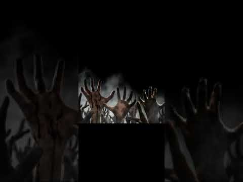 Dindi spray - sali kas