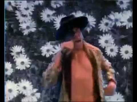 Red Hot Chili Peppers Higher Ground Official Video