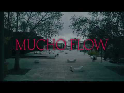 Mucho Flow 2019