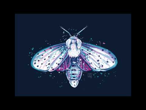 Polskie Kołysanki - Olga Barej - Z popielnika na Wojtusia