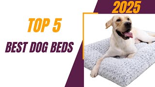 Are You Making This ONE Mistake With Your Dog's Bed?