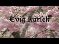 Evig kärlek - En dokumentär 