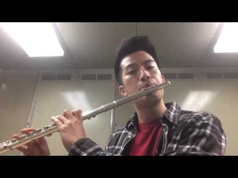 Lean On - Major Lazer Flute Beatboxing Cover