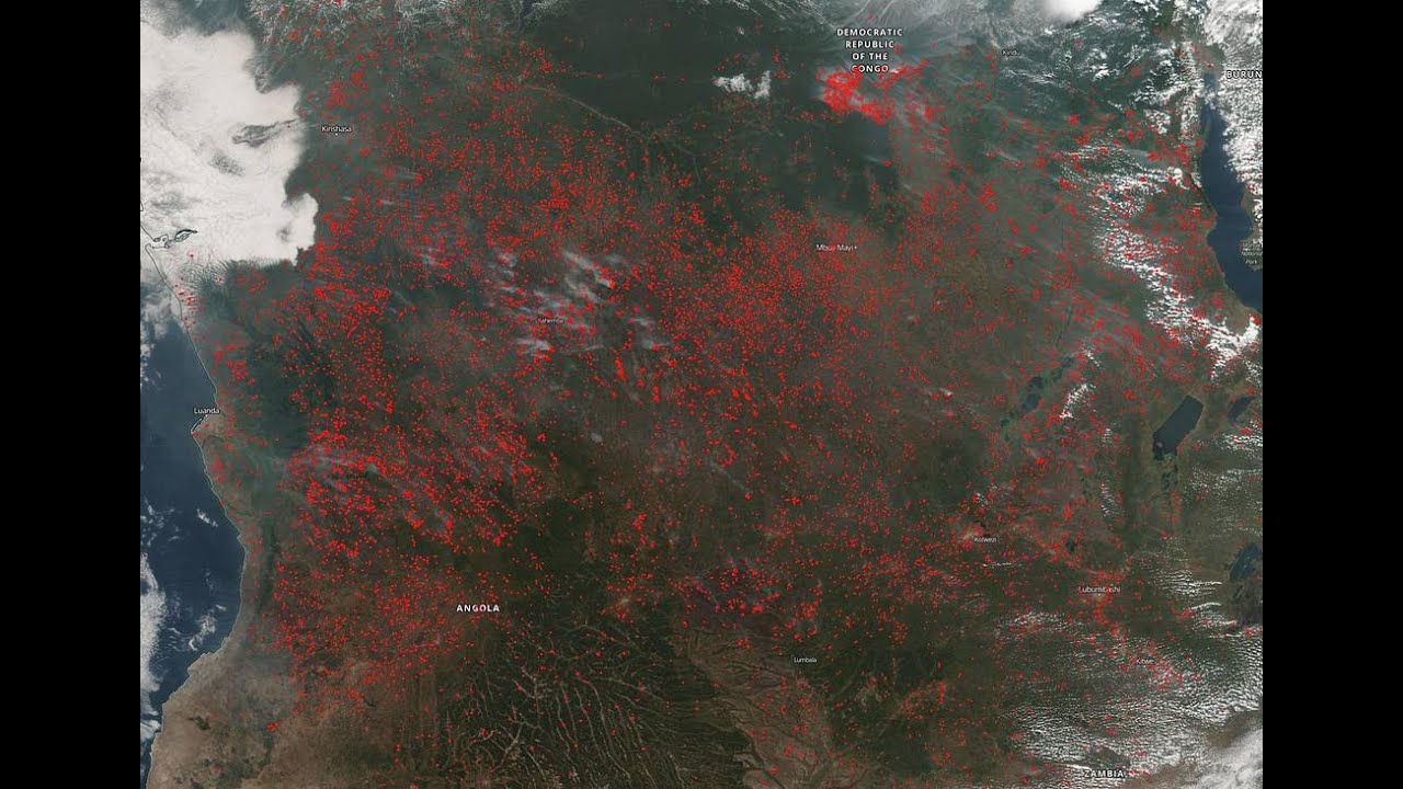 Forest Fire Simulation - Demo