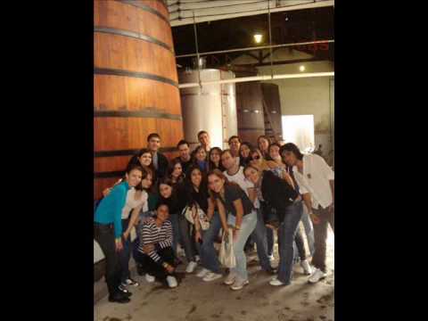 Apresentação Bixos 0001