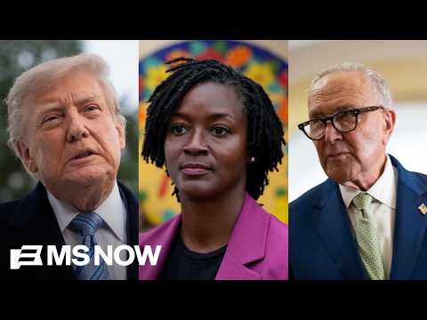 'Put some respect on our names': Angie Nixon's plan to defeat Trump's GOP, urges Dems to 'do more'