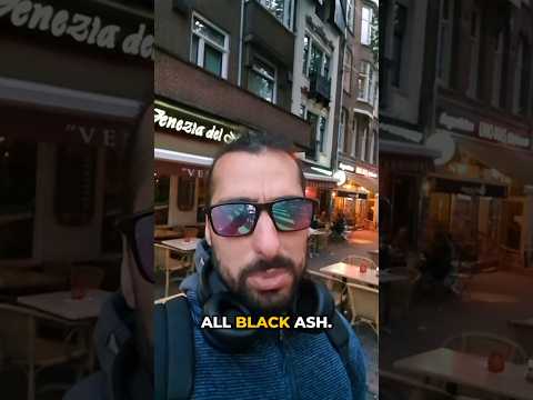 African Black (ASH?) Star Gelonade