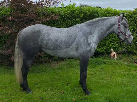 Caherview Lightening