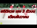 สถิติ หวย ย้อน หลัง 30 ปี