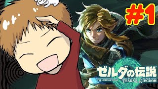 【初見攻略】とにかく楽しむ!! 途中でやめない!!　#1【ゼルダの伝説 ティアーズ オブ ザ キングダム】
