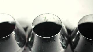 White Apple Tree - Circles (Album Version)