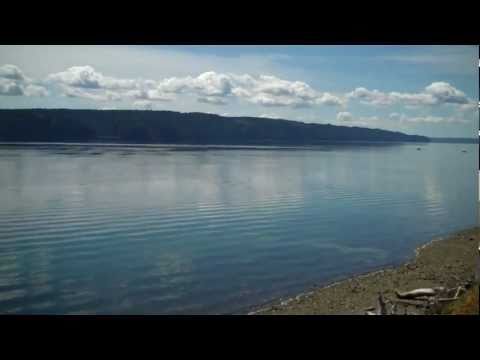 Private Beach  Highway 101 in  Lilliwaup WA