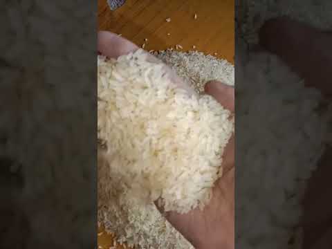 Cream jirasar gujarat 17 long grain rice, for food processin...