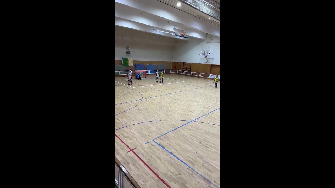 COLEGIO VIRGEN DE EUROPA vs CLUB PATIN ALCORCON