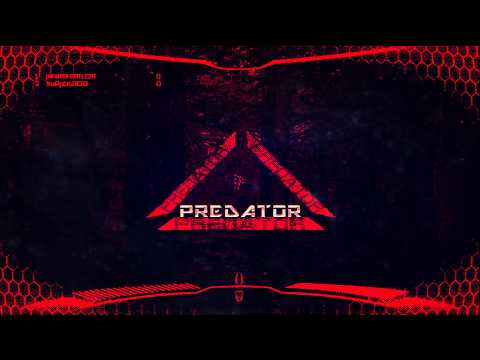 Djerem & Chris Willis - So Beautiful (Predator Remake)