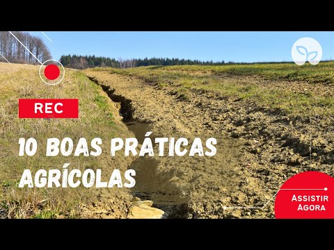 Boas Práticas Agrícolas | 10 Práticas para você aplicar na sua lavoura!