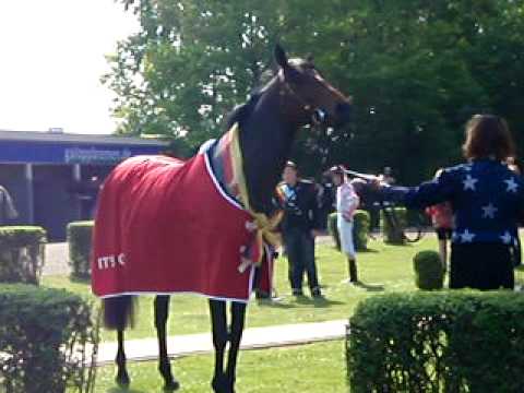 It's Gino in Bremen -Galopper des Jahres