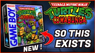 Teenage Mutant Ninja Turtles Cowabunga ! - An Amazing New TMNT Fan Game ?