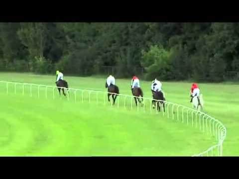 Nagroda Europejczyka 2011 (POL Kat. B) 1800m