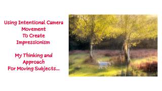 How I Use Awareness and the Environment For Creating Intentional Camera Movement Impressionism
