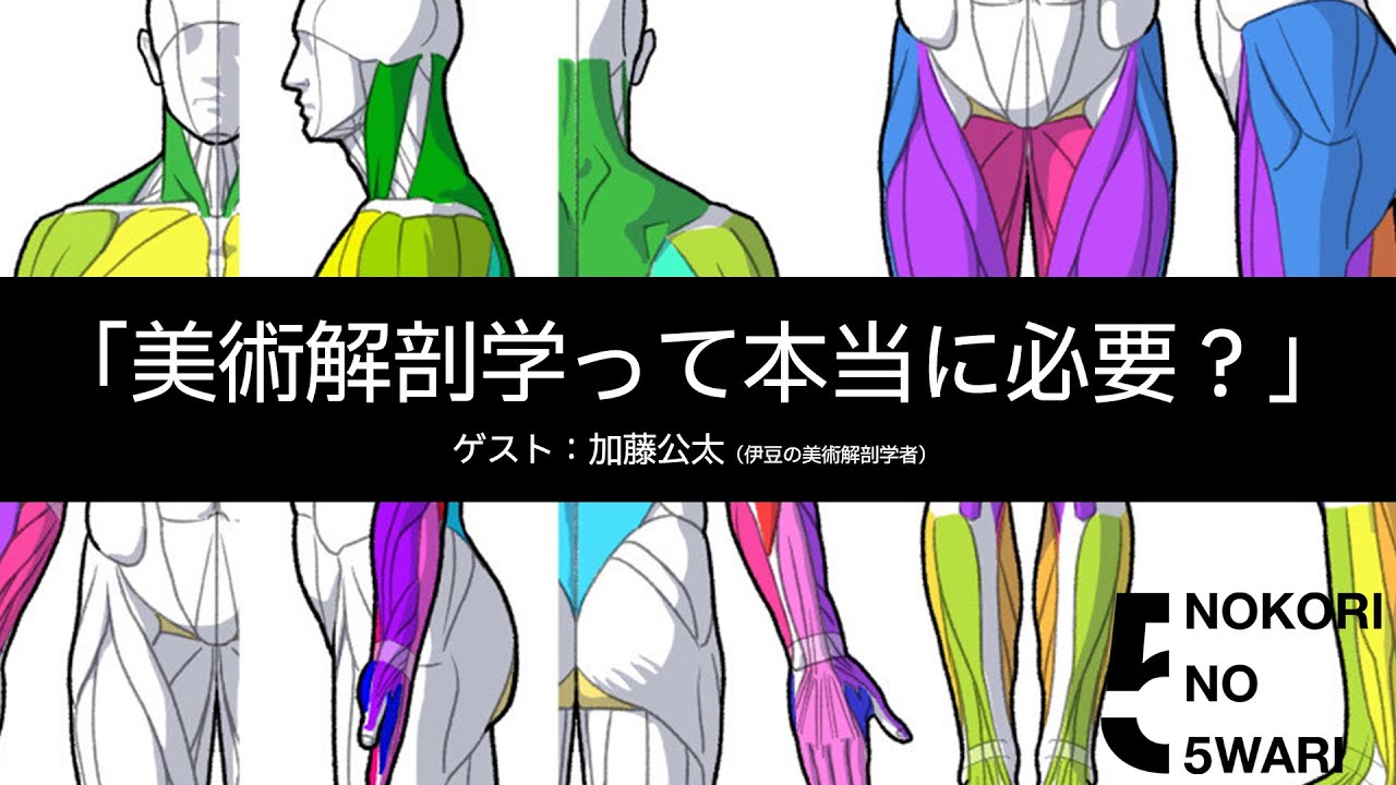 「美術解剖学って本当に必要？」ゲスト：加藤公太（伊豆の美術解剖学者）