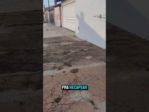 As ruas de Franca SP estão insuportável. #cachorro #saopaulo #cidade #emprego #cachorros