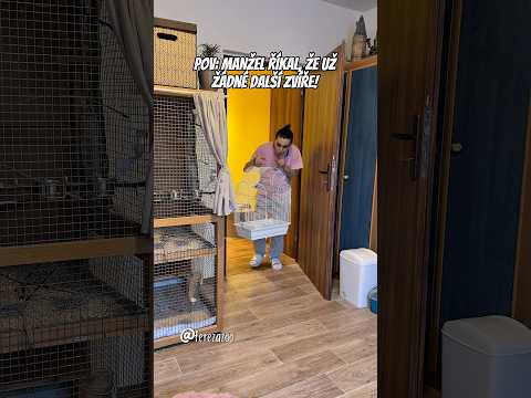 Pořizování zvířat v dospělosti vypadá u mě asi nějak takhle 😅😹